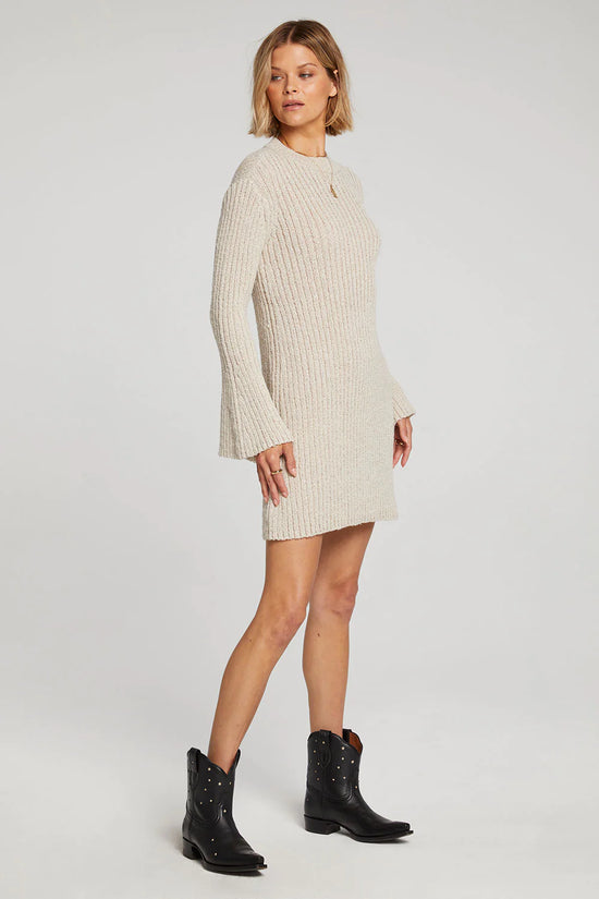 Saltwater Luxe Audrie Sweater Dress