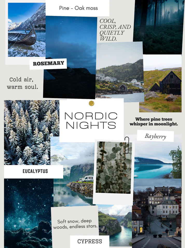 Wallflower Shoppe Concrete Candle Nordic Nights