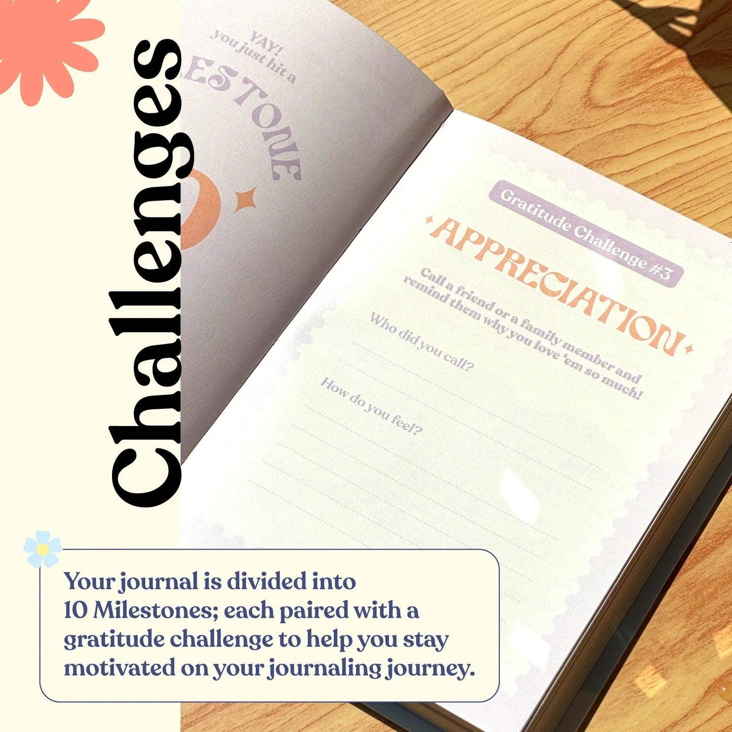 Gratitude Journal | Sunday Stories