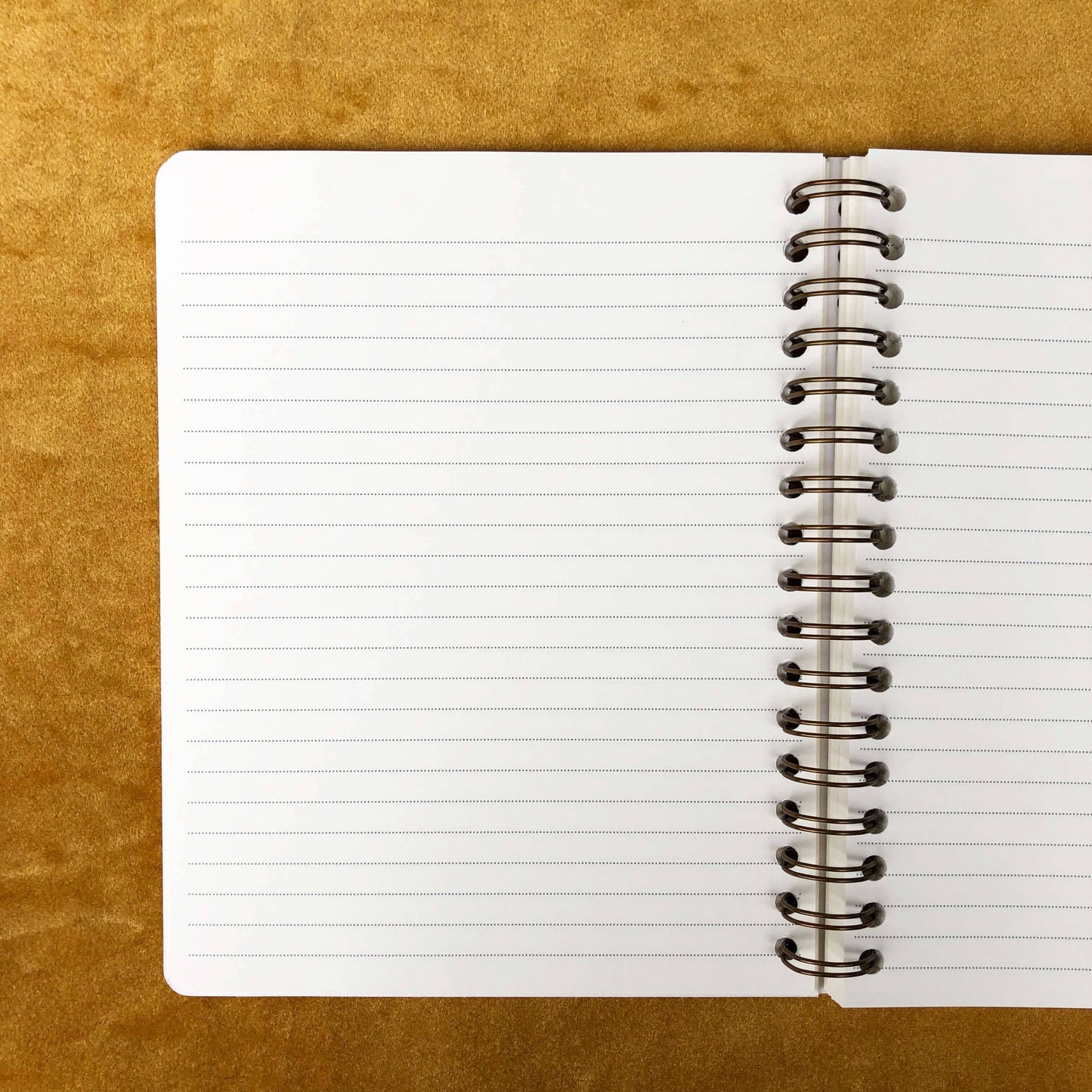 Seeing Eye Journal - Copper