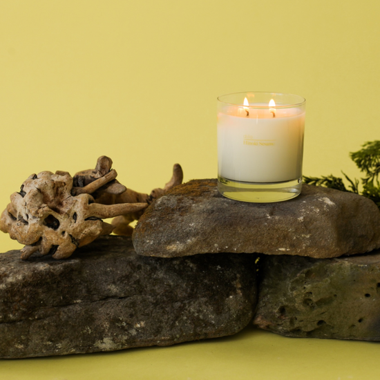 Dilo Hinoki Sesame Candle