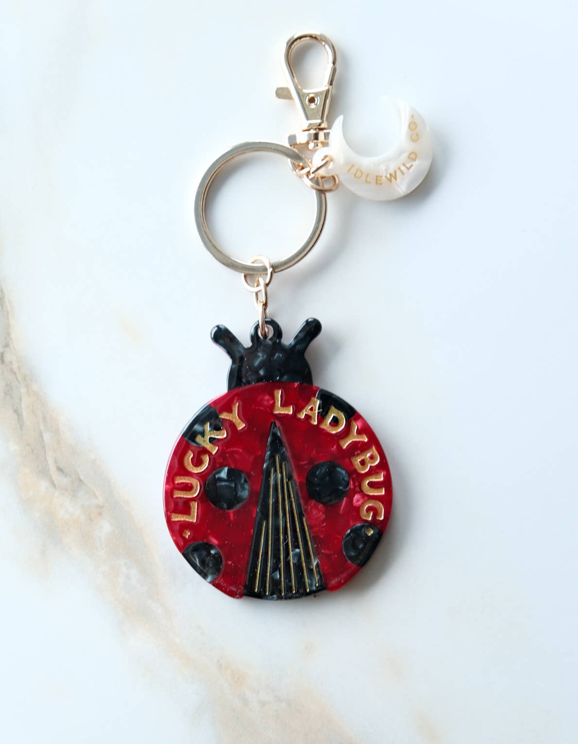 Lucky Bag Charm/Keychain Ladybug