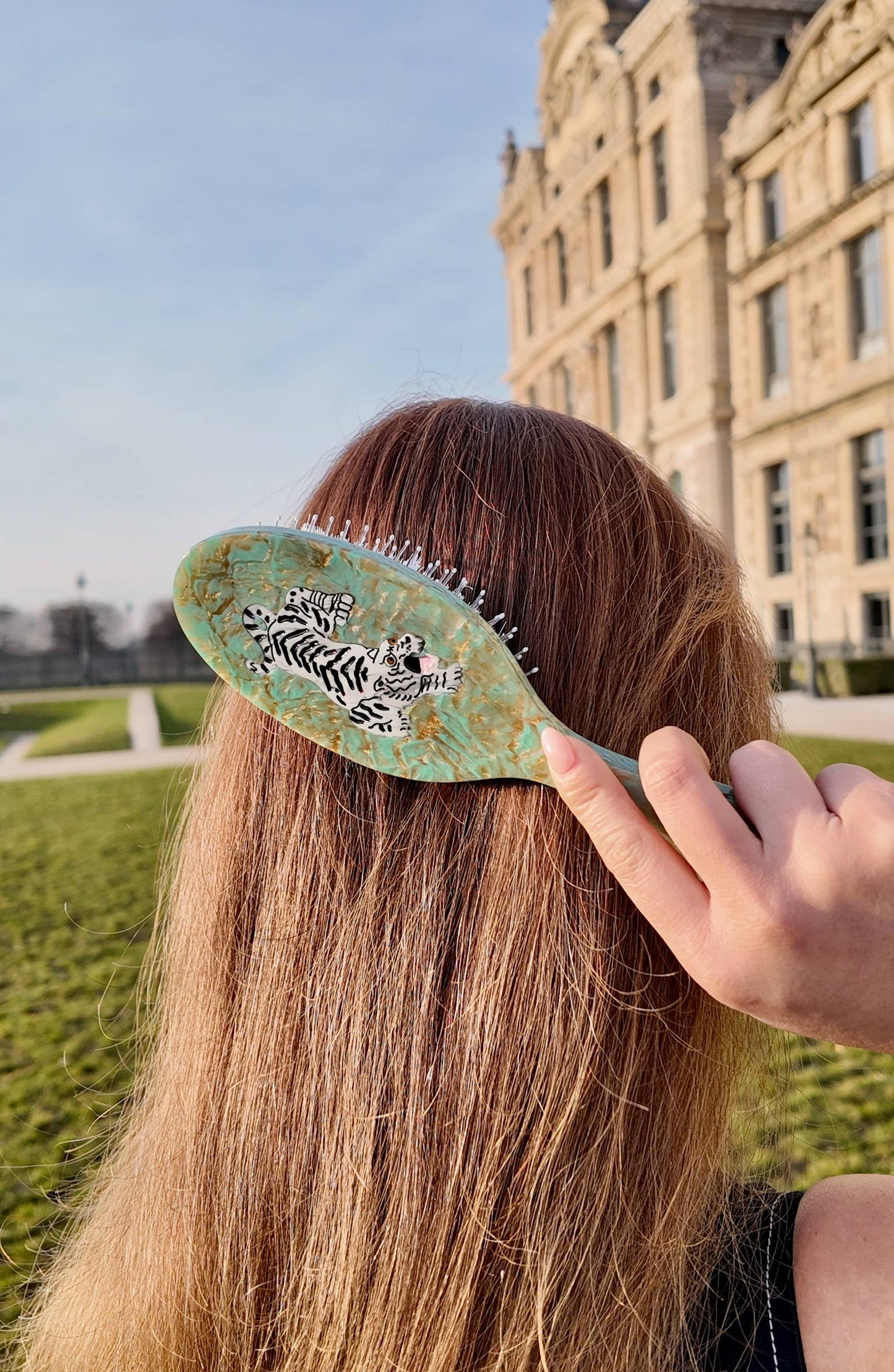 Solar Eclipse Hand-painted Tiger Amazing Hair Day Brush