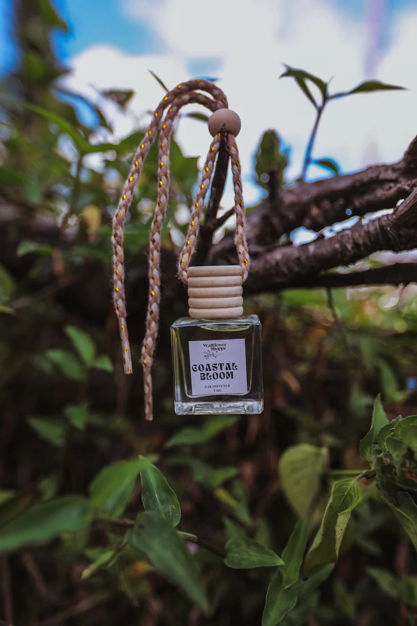 Wallflower Shoppe Car Diffusers