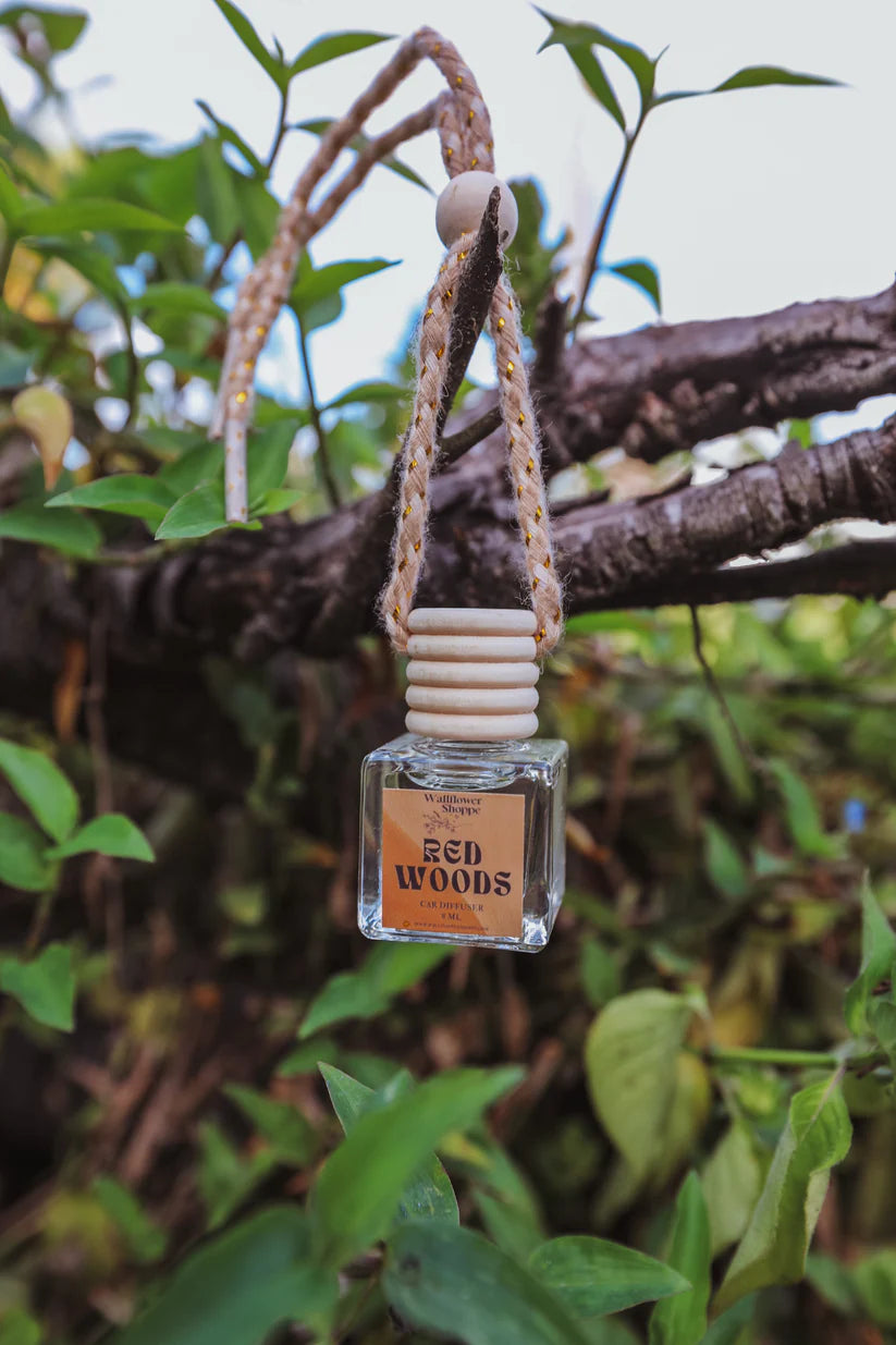 Wallflower Shoppe Car Diffusers