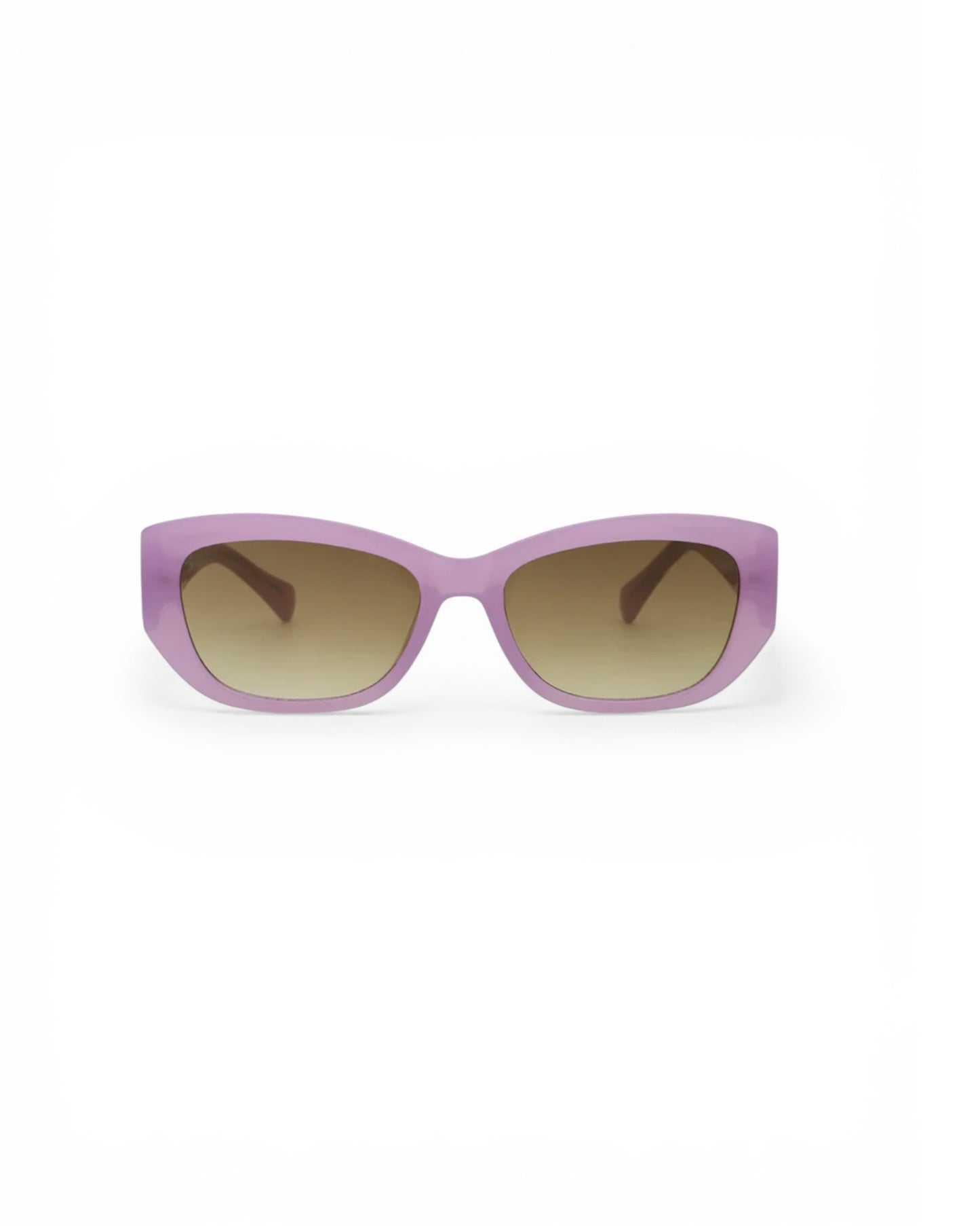 Moda Eyewear Summer Purple Sunnies