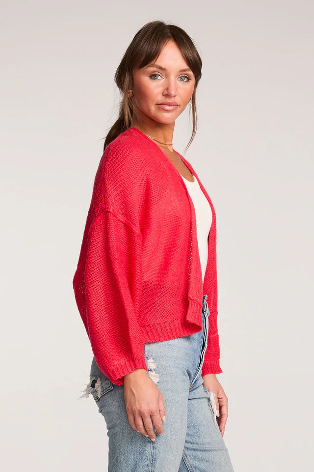 Saltwater Luxe Aden Vintage Red Sweater