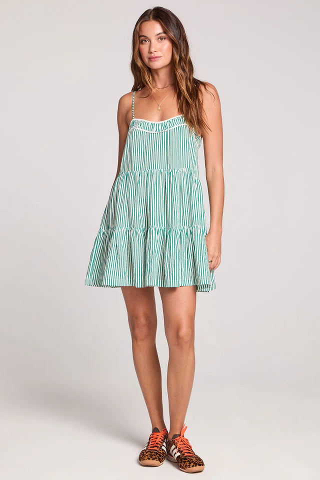 SaltwaterLuxe Genevieve Mini Dress
