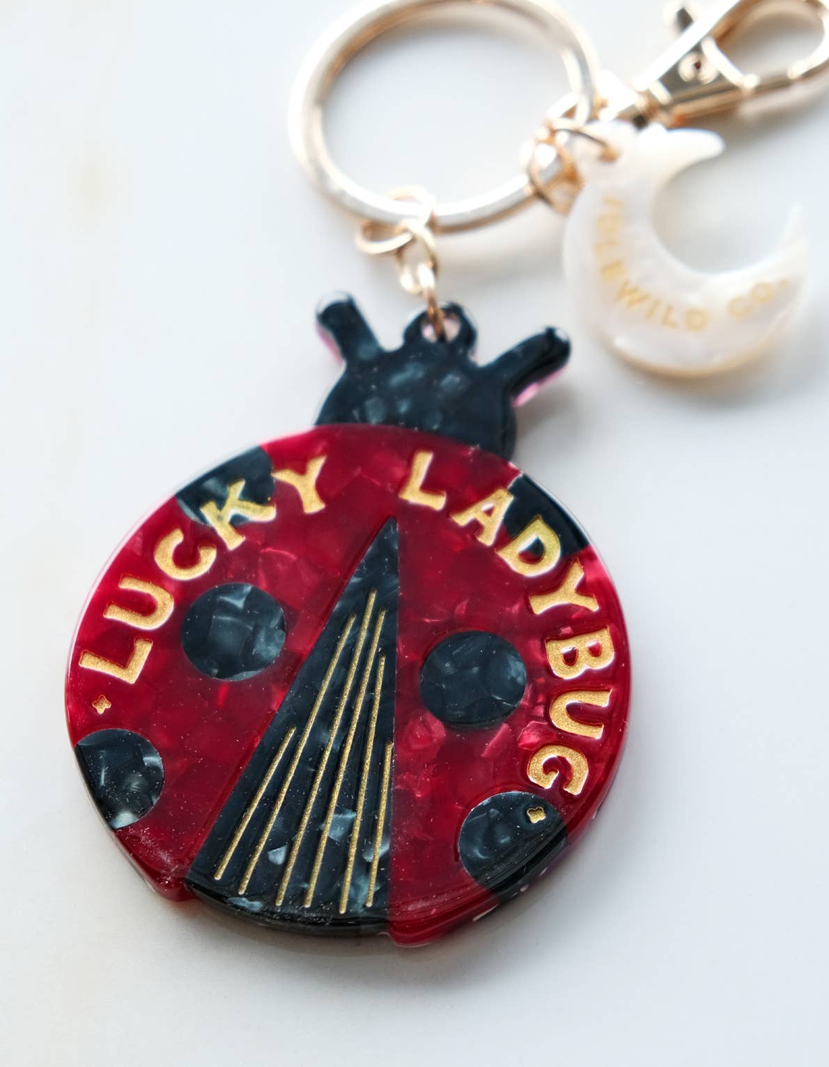 Lucky Bag Charm/Keychain Ladybug