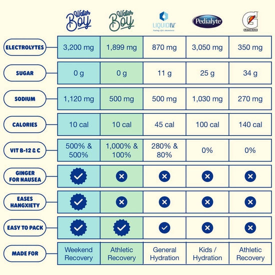 WaterBoy Hydration + Weekend Recovery Drink Mix