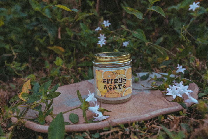 Wallflower Shoppe Mini 4oz Candle Citrus Agave