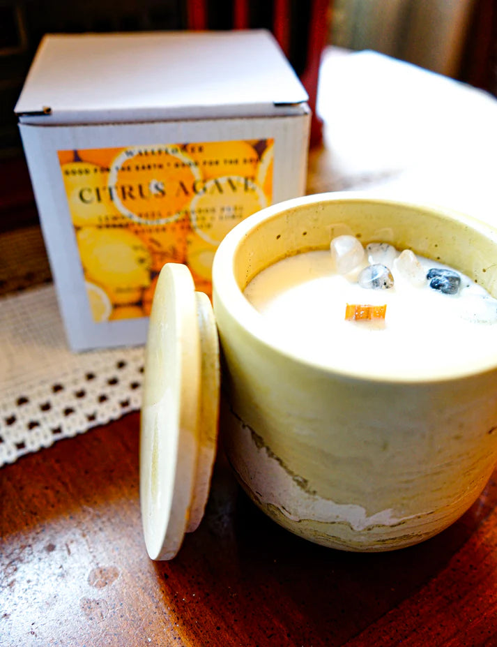 Wallflower Shoppe Concrete Candle Citrus Agave