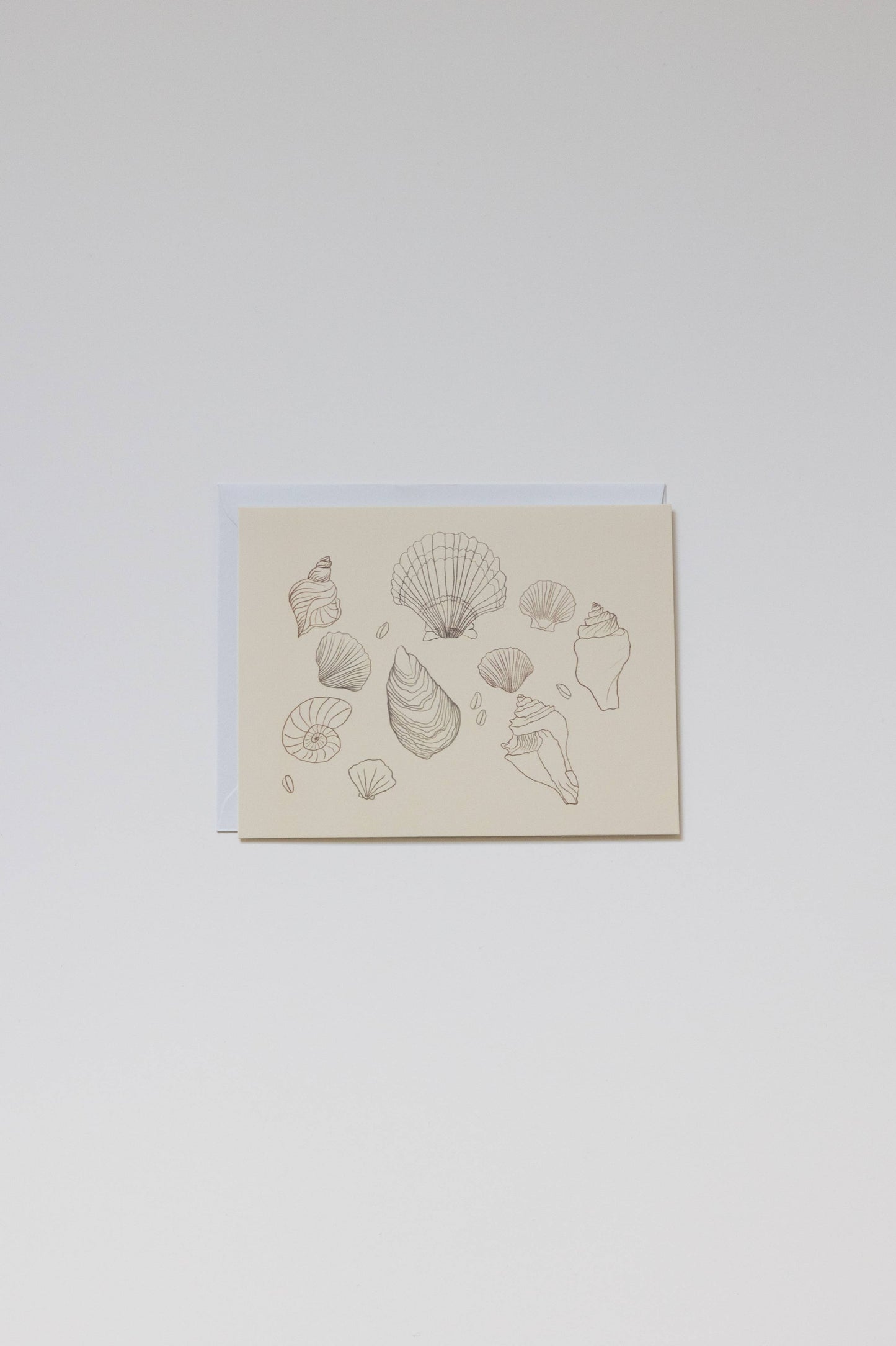 Shell Greeting Card