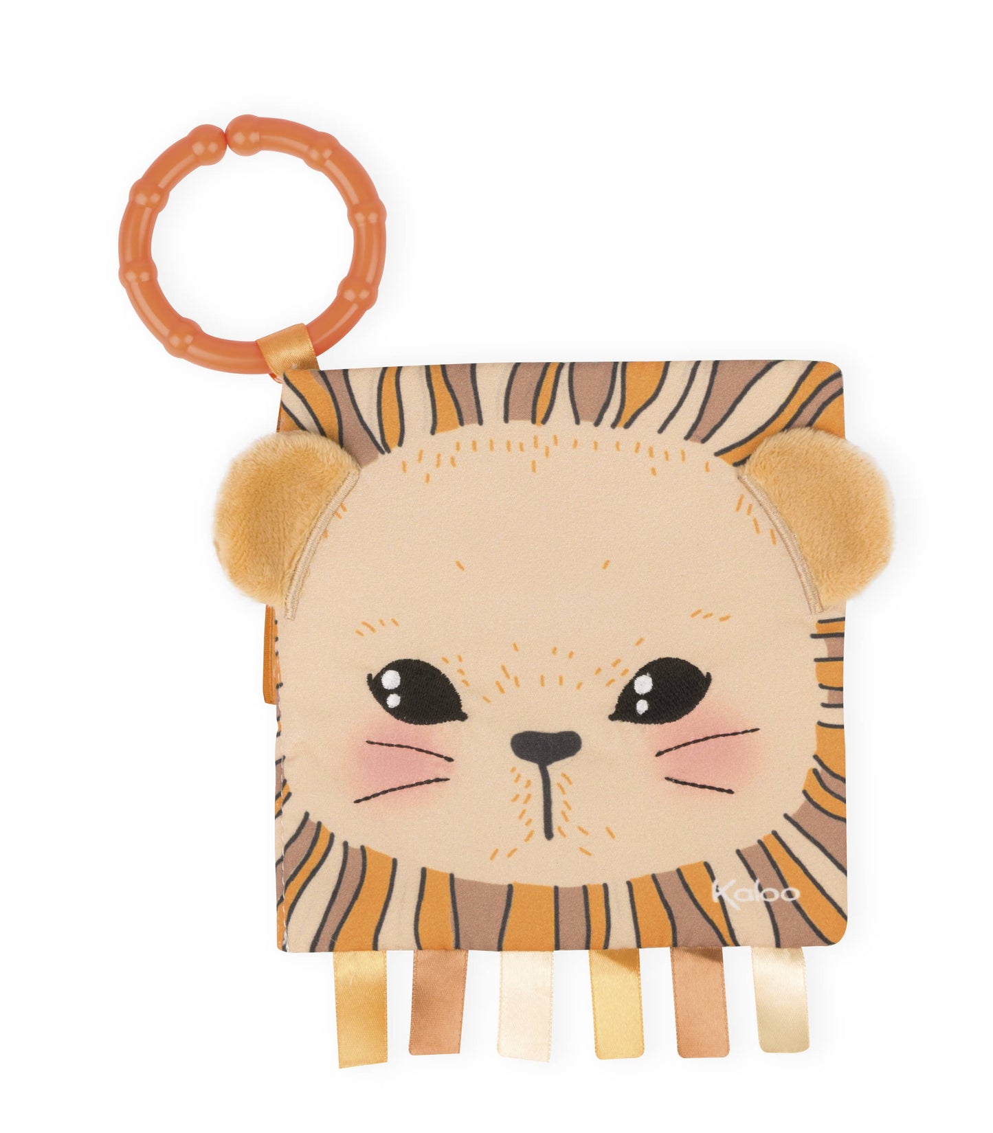 The Curious Lion Baby Activity Book