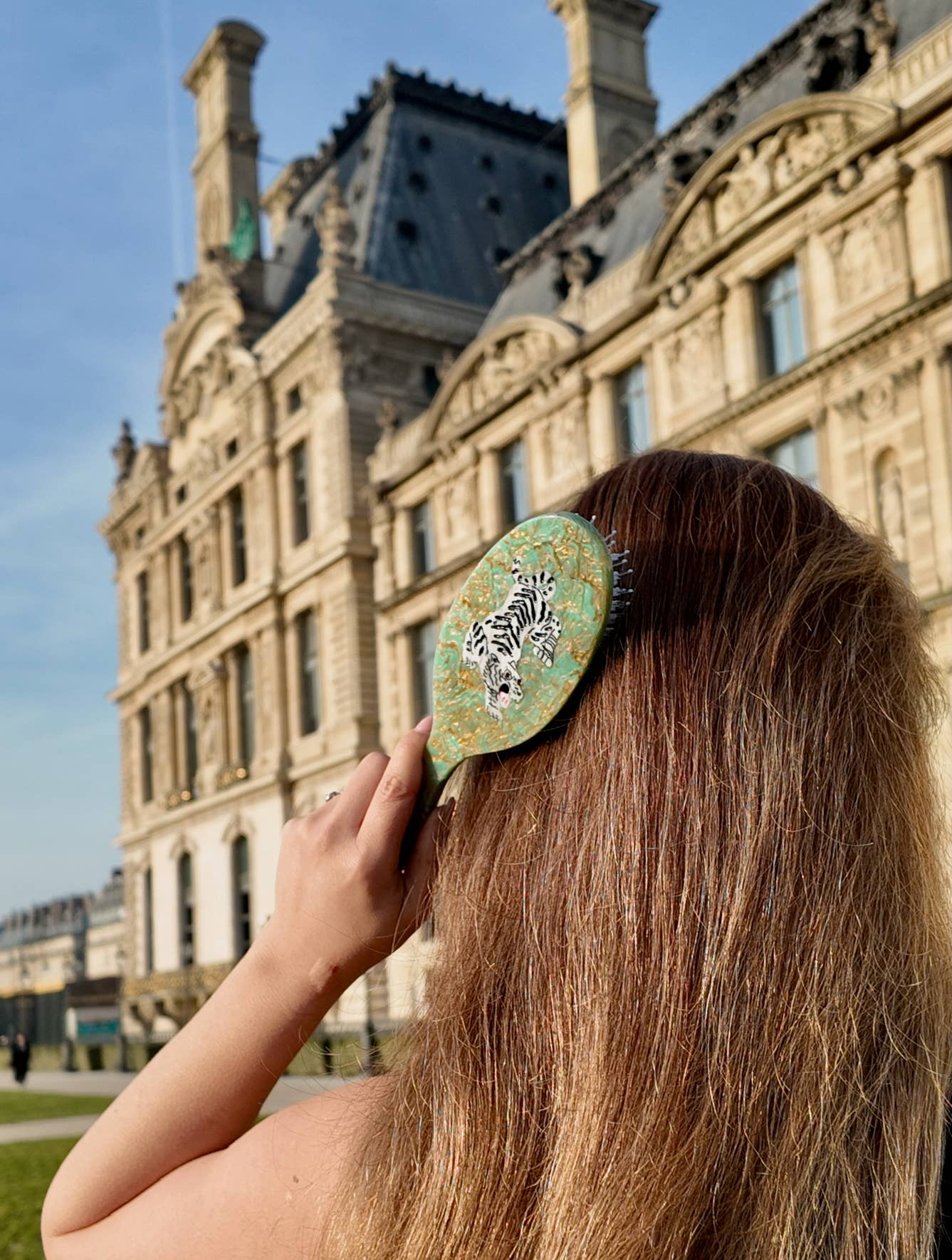 Solar Eclipse Hand-painted Tiger Amazing Hair Day Brush