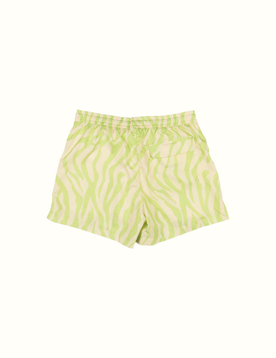 Duvin Keylime Zebra Swim Short