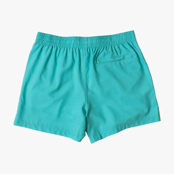 Load image into Gallery viewer, Duvin Surf Gang Swim Short Teal
