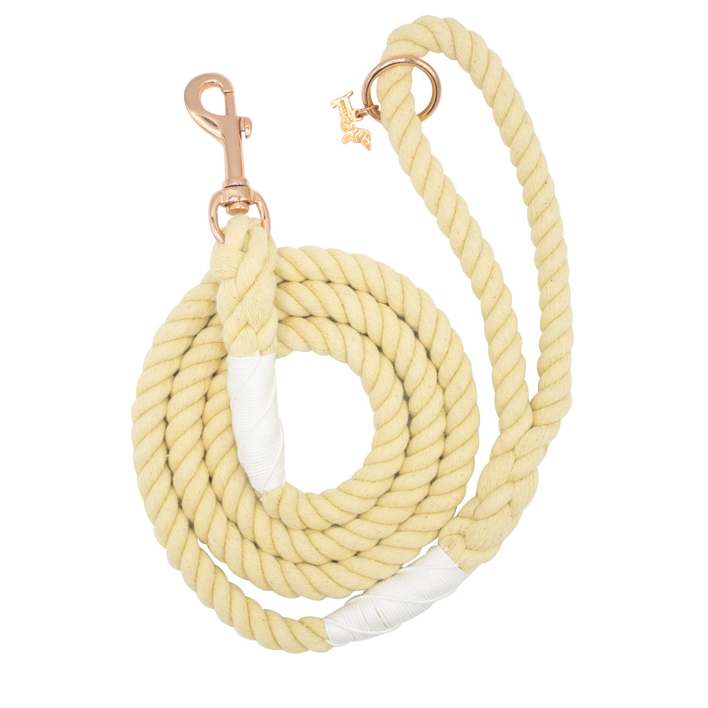 Wander Rope Dog Leash with Yellow and Blue Accents Custom Rope Leash | Rope and Leather | WanderDog – WanderDog  main image 4